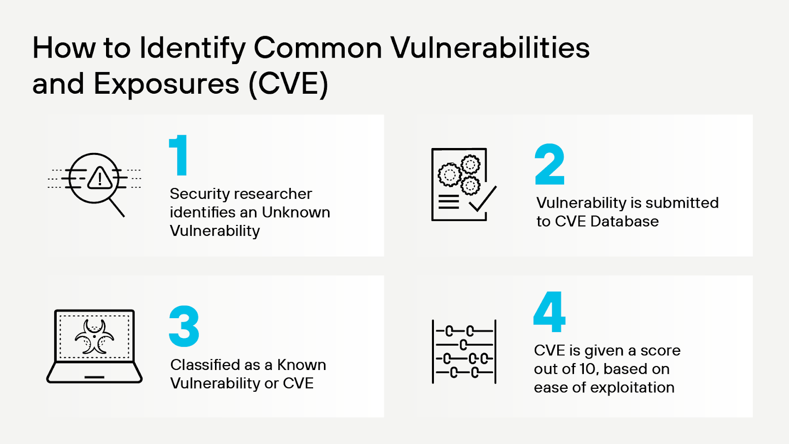 CVE identification process