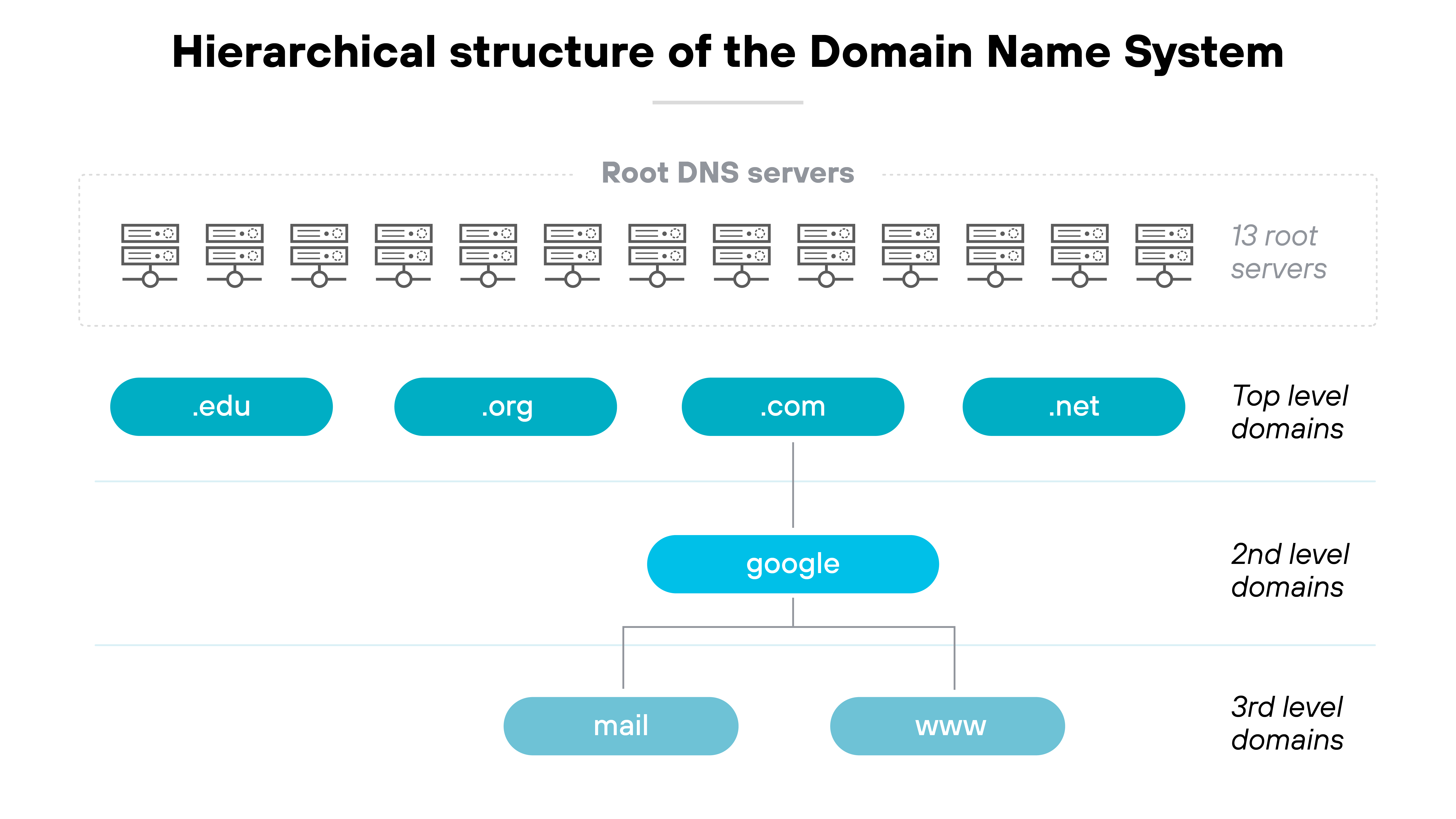 The image titled 'Hierarchical structure of the Domain Name System' visually represents the layers of the DNS hierarchy. At the top, a dotted box contains 13 illustrated servers labeled 'Root DNS servers' with the text '13 root servers' on the right side. Below this, a row of four teal ovals displays top-level domains labeled '.edu', '.org', '.com', and '.net'. A vertical line descends from the '.com' oval to a second-level domain labeled 'google' in another teal oval. From 'google', two lines branch downward to third-level domains labeled 'mail' and 'www', both in teal ovals. The levels are separated by horizontal lines and labeled on the right side as 'Top level domains', '2nd level domains', and '3rd level domains' respectively. The image titled 'Hierarchical structure of the Domain Name System' visually represents the layers of the DNS hierarchy. At the top, a dotted box contains 13 illustrated servers labeled 'Root DNS servers' with the text '13 root servers' on the right side. Below this, a row of four teal ovals displays top-level domains labeled '.edu', '.org', '.com', and '.net'. A vertical line descends from the '.com' oval to a second-level domain labeled 'google' in another teal oval. From 'google', two lines branch downward to third-level domains labeled 'mail' and 'www', both in teal ovals. The levels are separated by horizontal lines and labeled on the right side as 'Top level domains', '2nd level domains', and '3rd level domains' respectively.